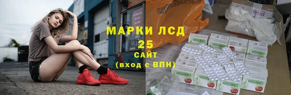 PSILOCYBIN Белокуриха