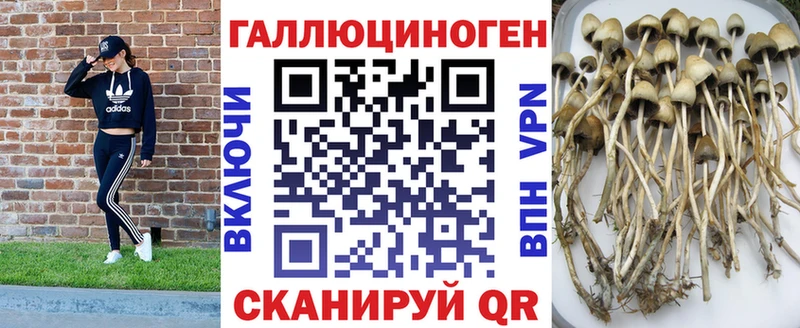 продажа наркотиков  Губкинский  Галлюциногенные грибы ЛСД 